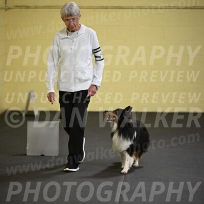 SAT402_0037
