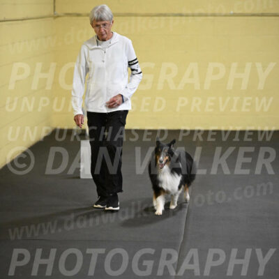 SAT402_0041