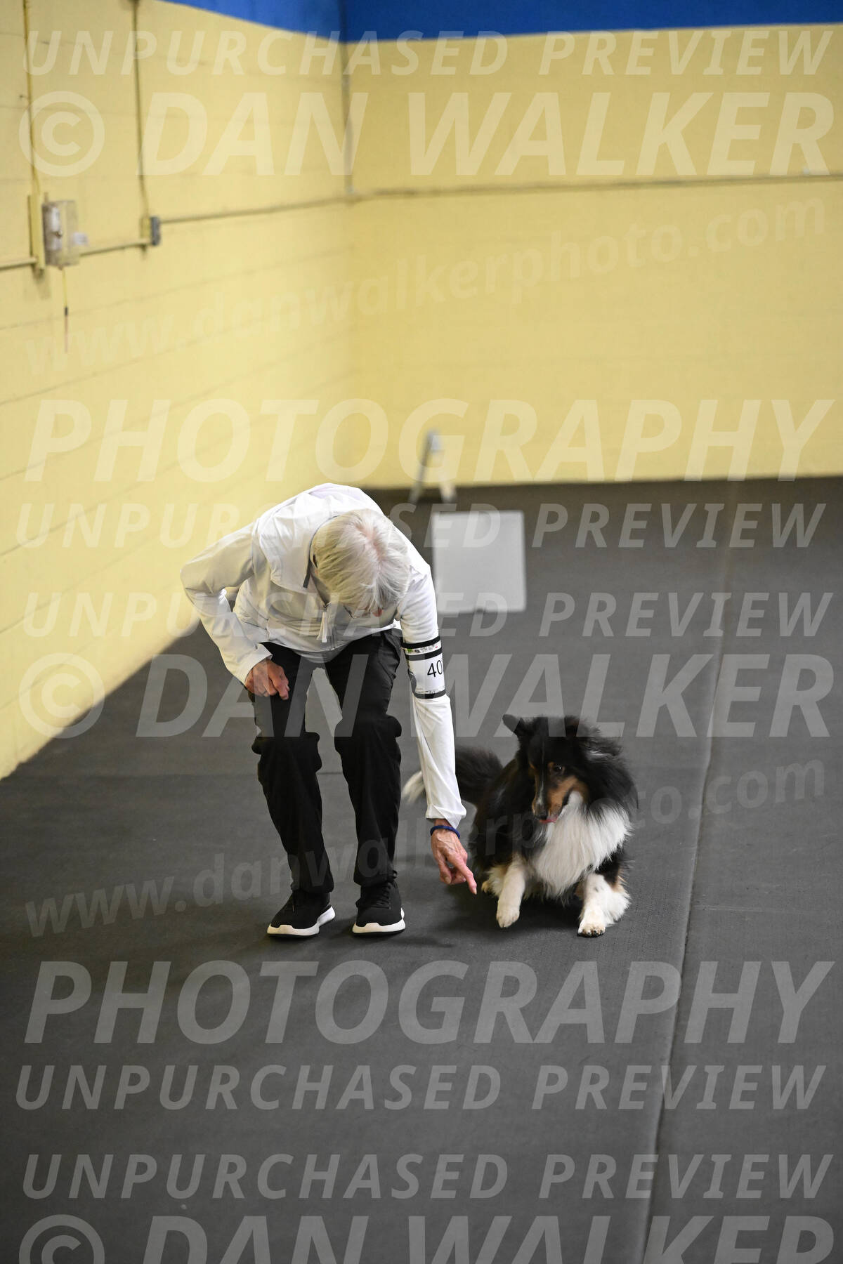 SAT402_0058