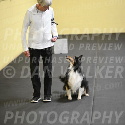 SAT402_0060