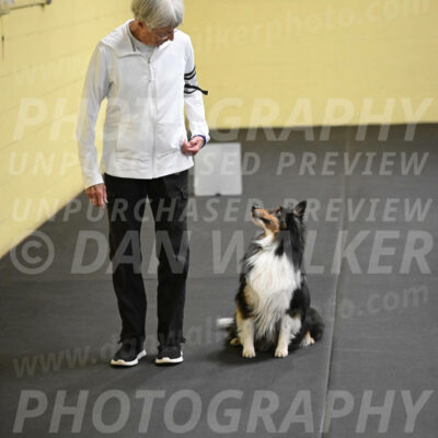 SAT402_0064