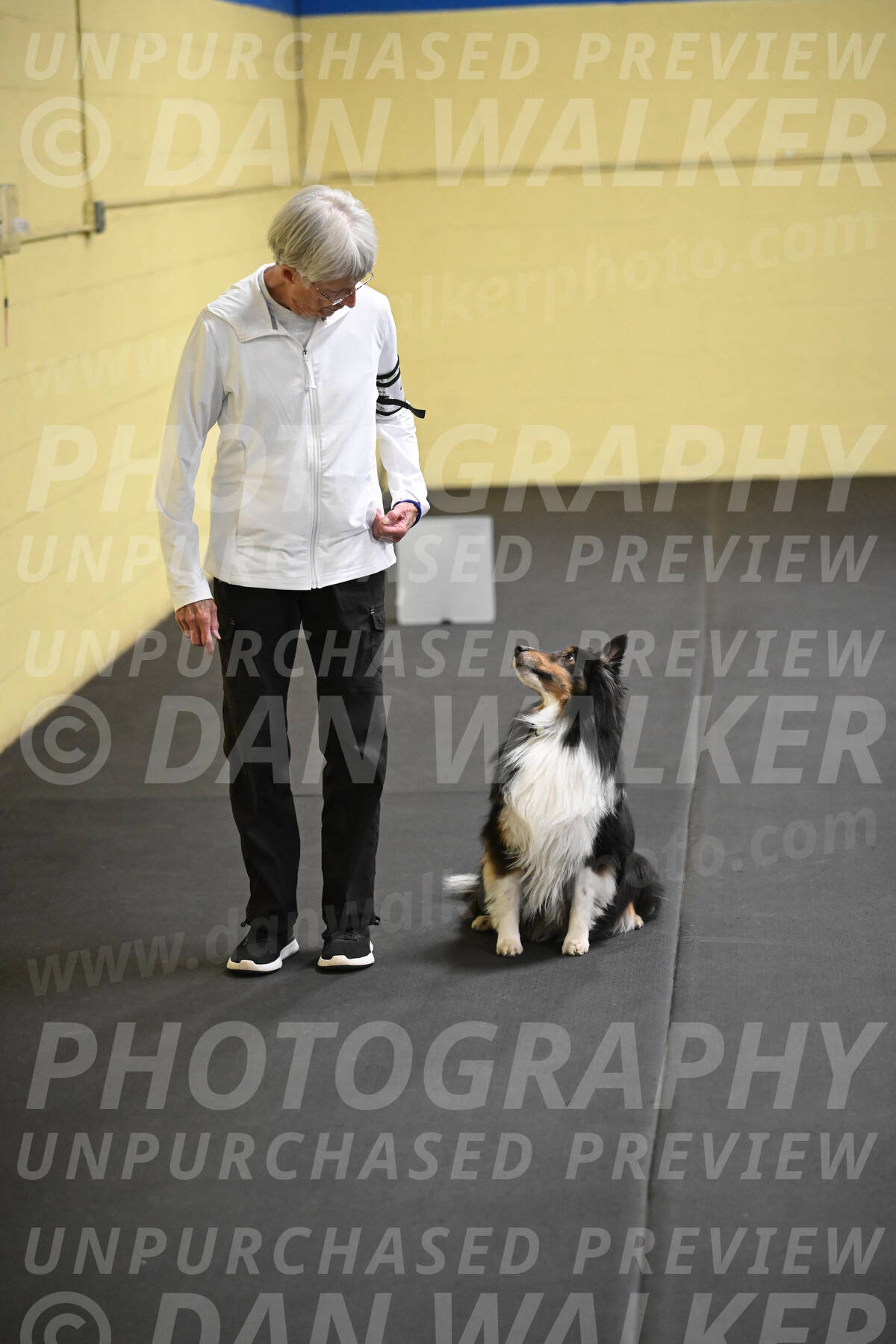 SAT402_0064