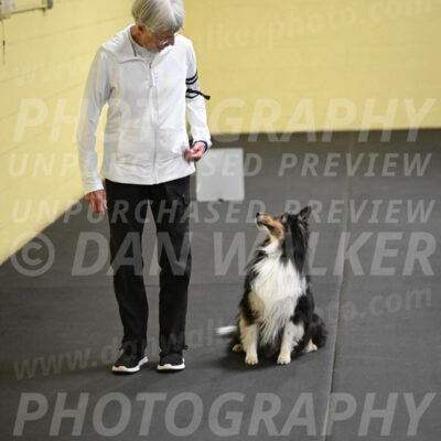 SAT402_0065