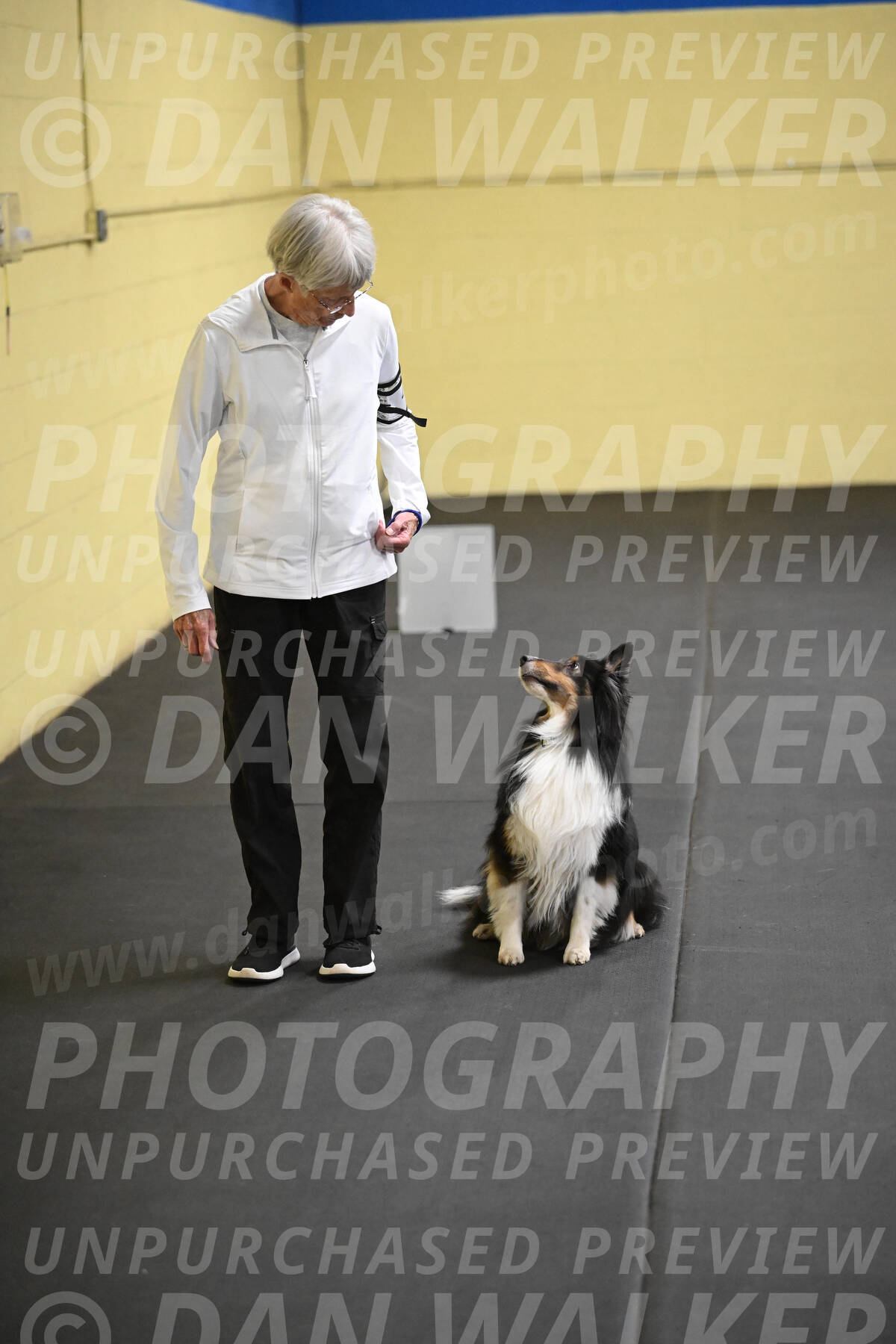 SAT402_0065