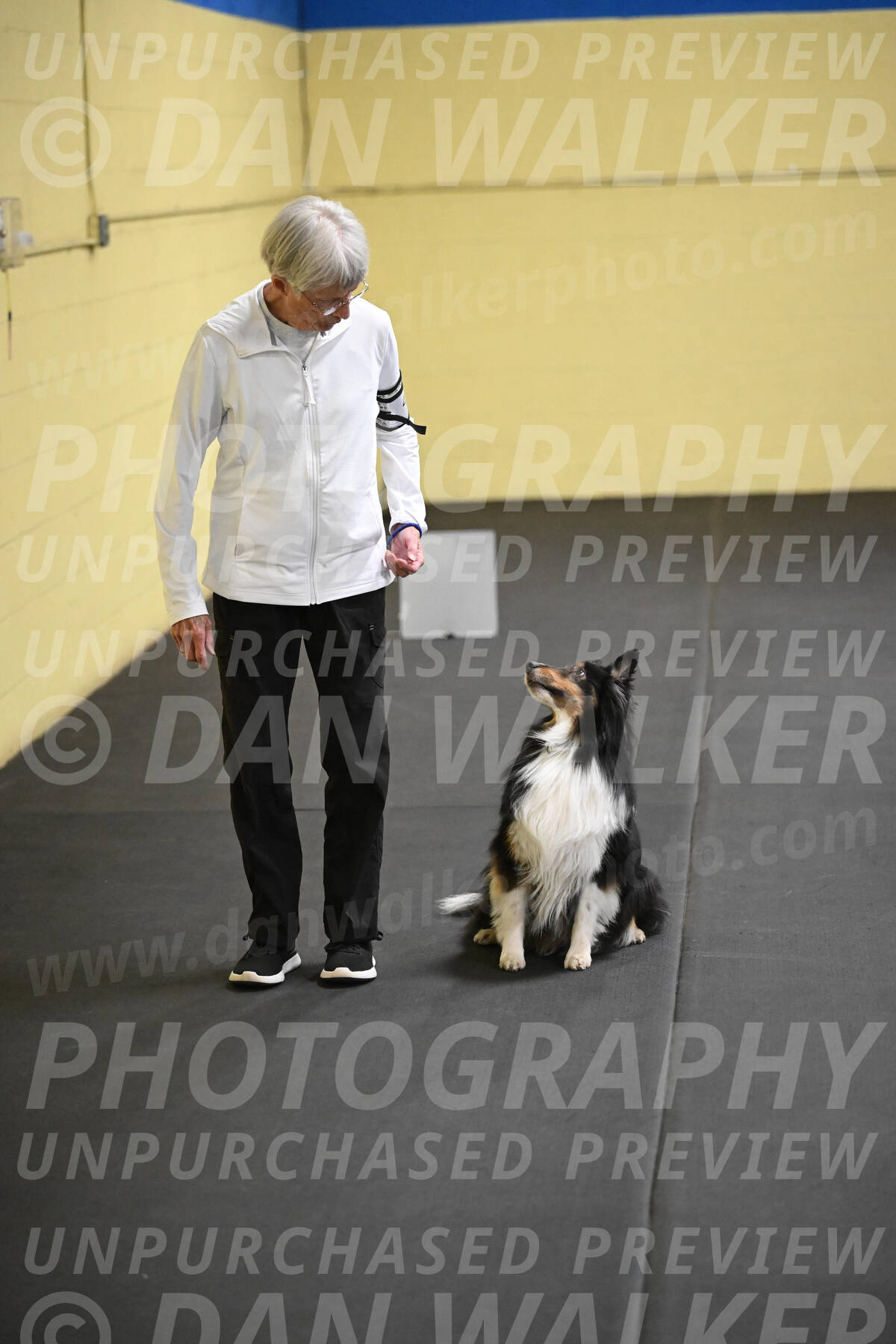 SAT402_0066