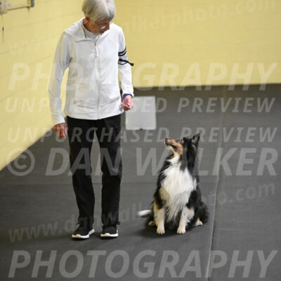SAT402_0066