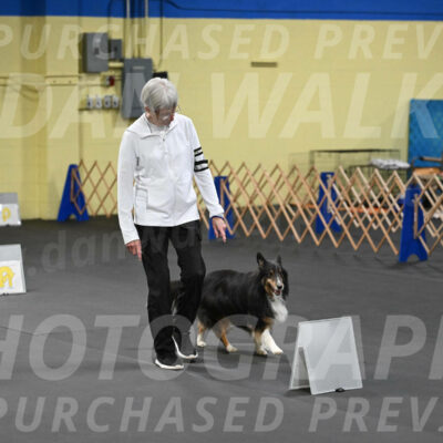 SAT402_0074