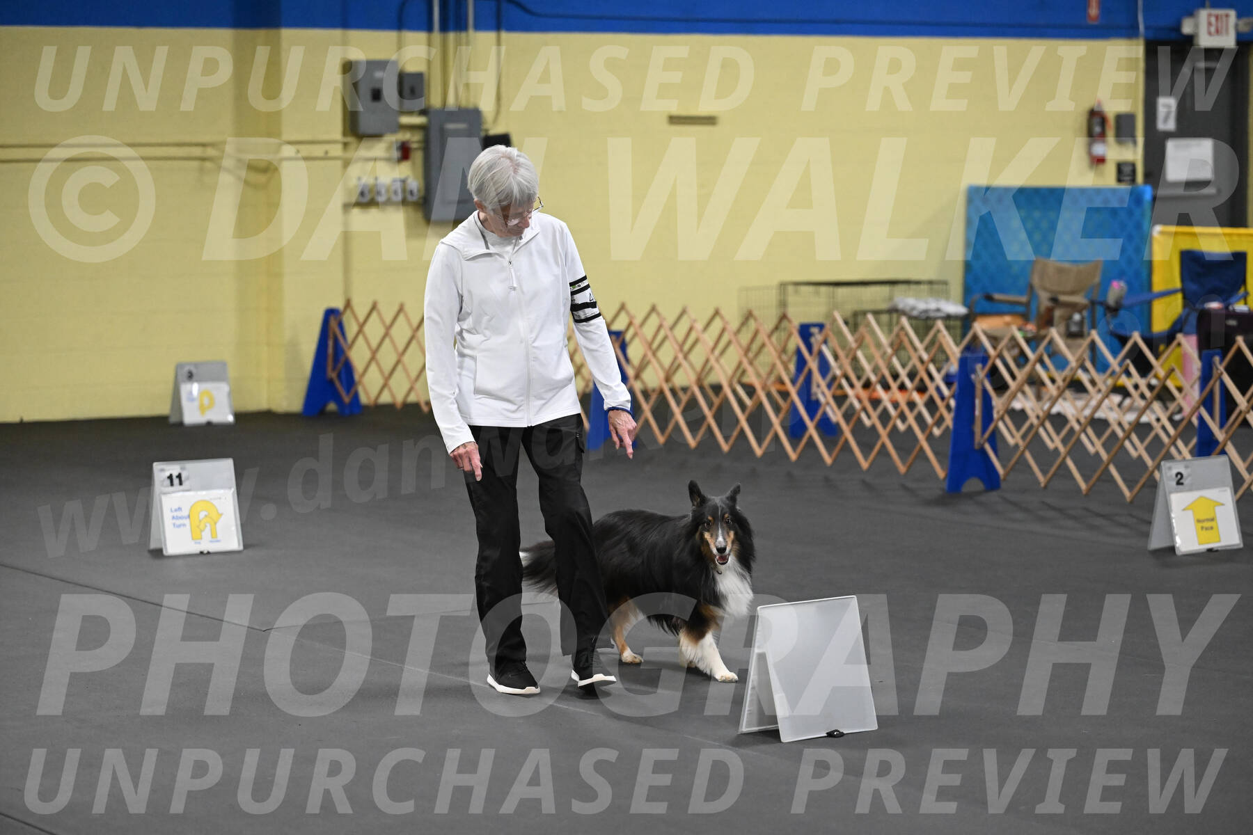 SAT402_0075