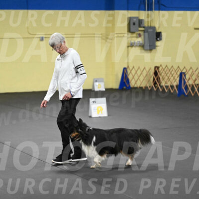 SAT402_0082