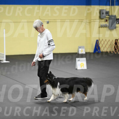 SAT402_0085