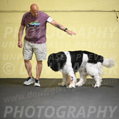 SAT403_0020