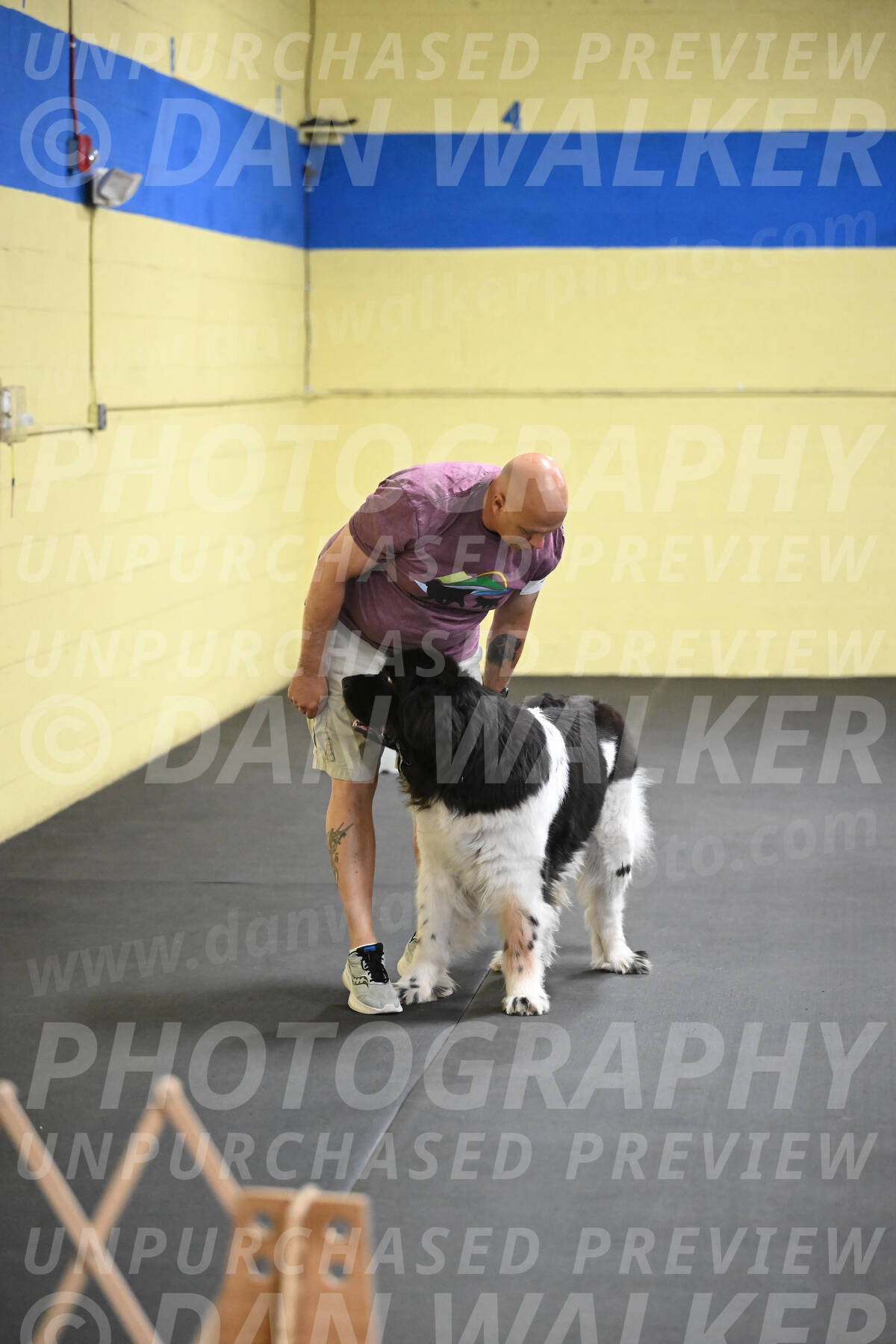 SAT403_0063