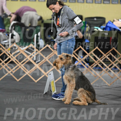 SAT404_0010