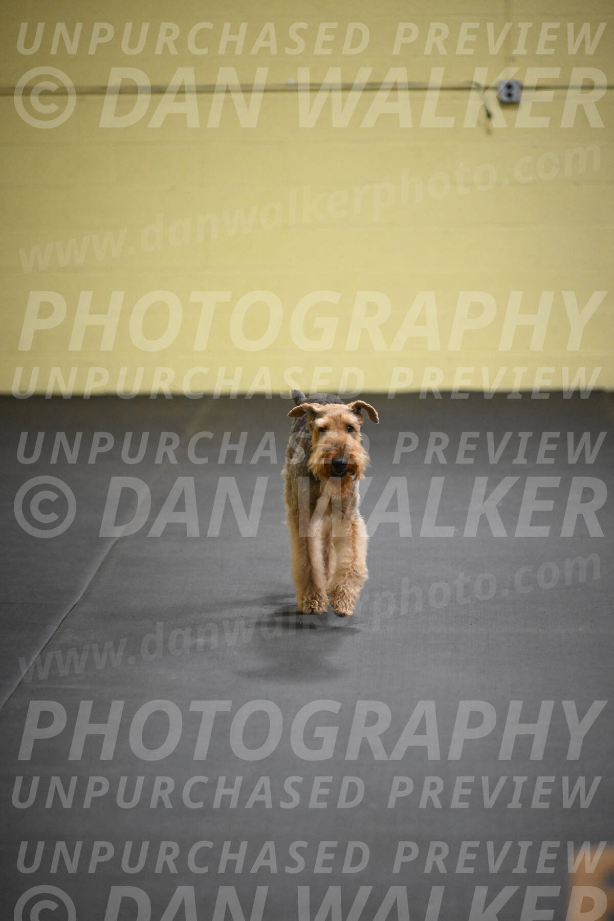 SAT404_0022
