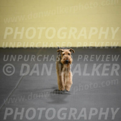 SAT404_0022