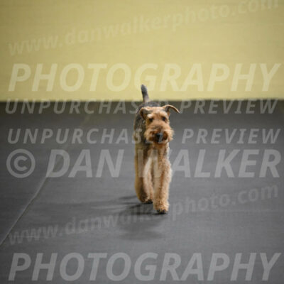 SAT404_0023