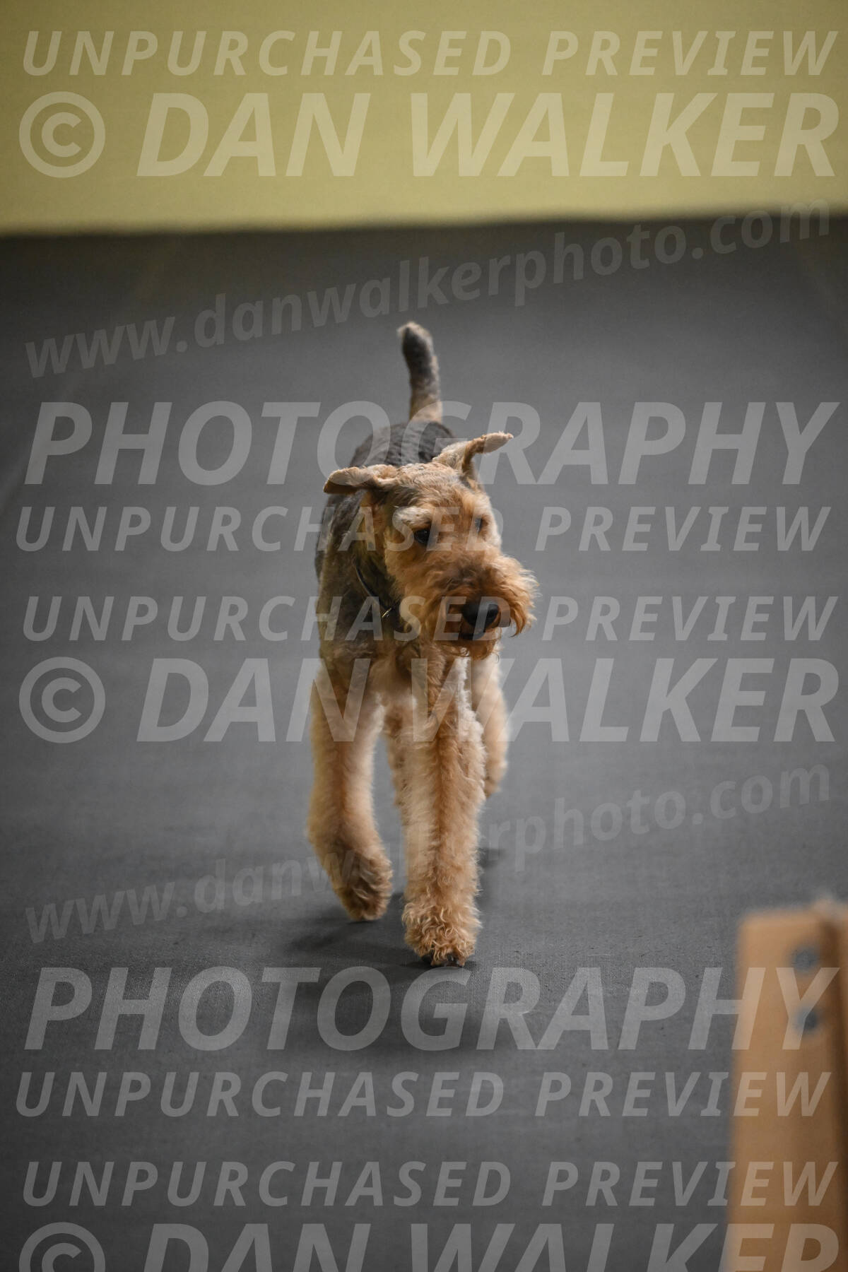 SAT404_0033