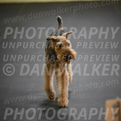 SAT404_0033