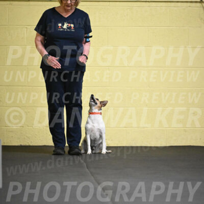 SAT501_0011