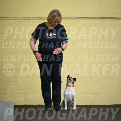 SAT501_0017