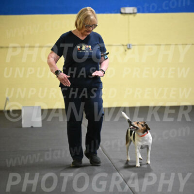 SAT501_0033
