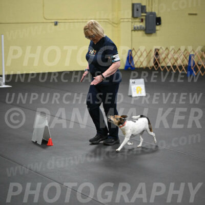 SAT501_0079