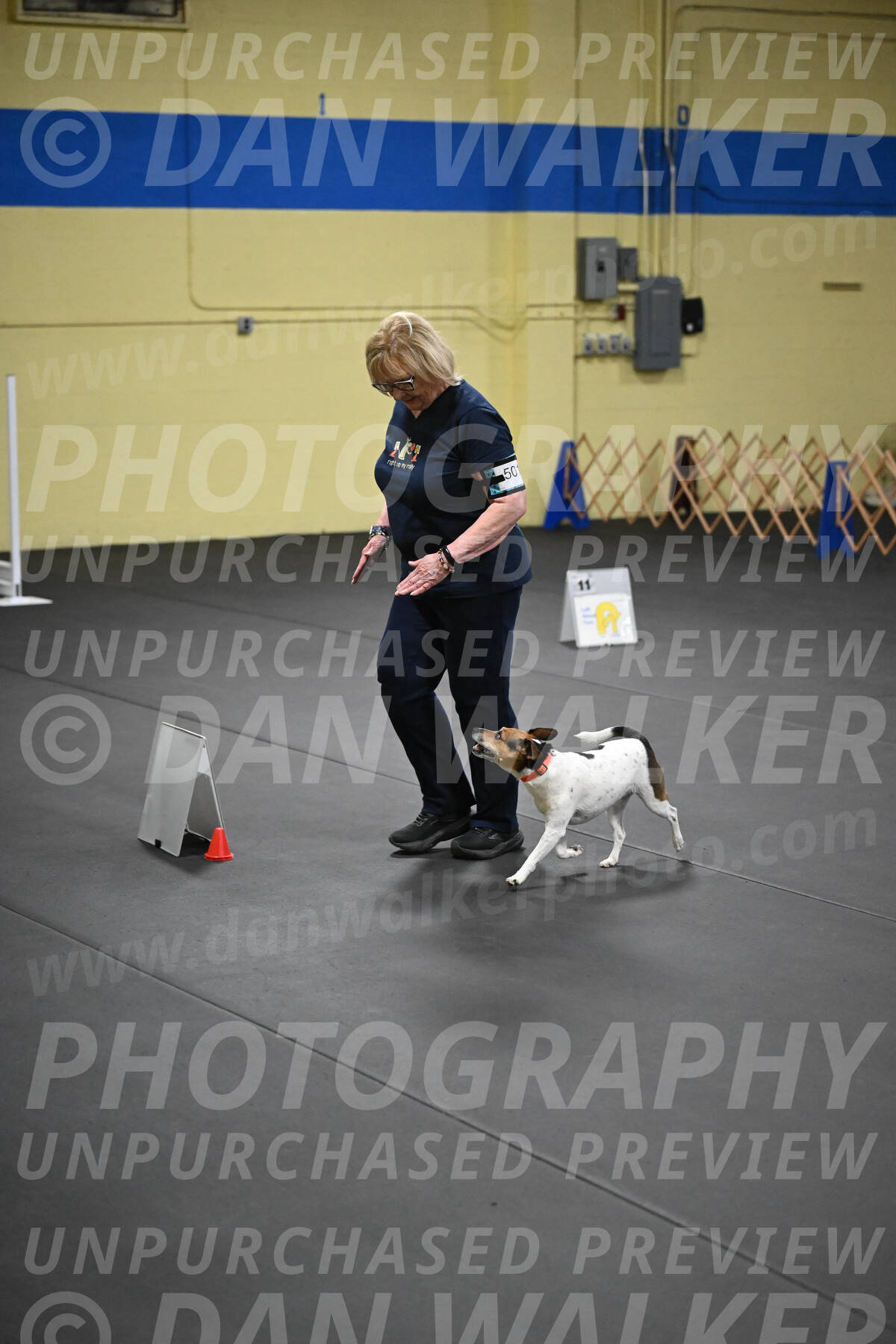 SAT501_0079