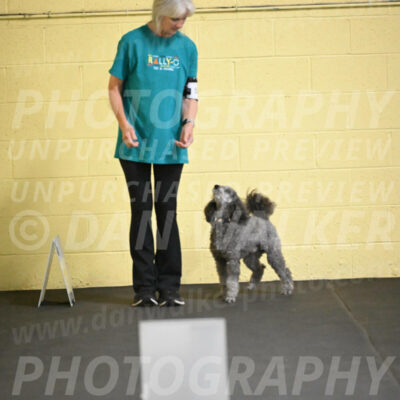 SAT502_0017A
