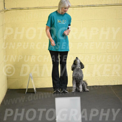 SAT502_0019A