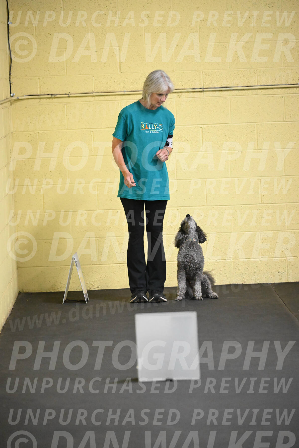 SAT502_0019A