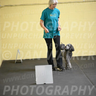 SAT502_0028