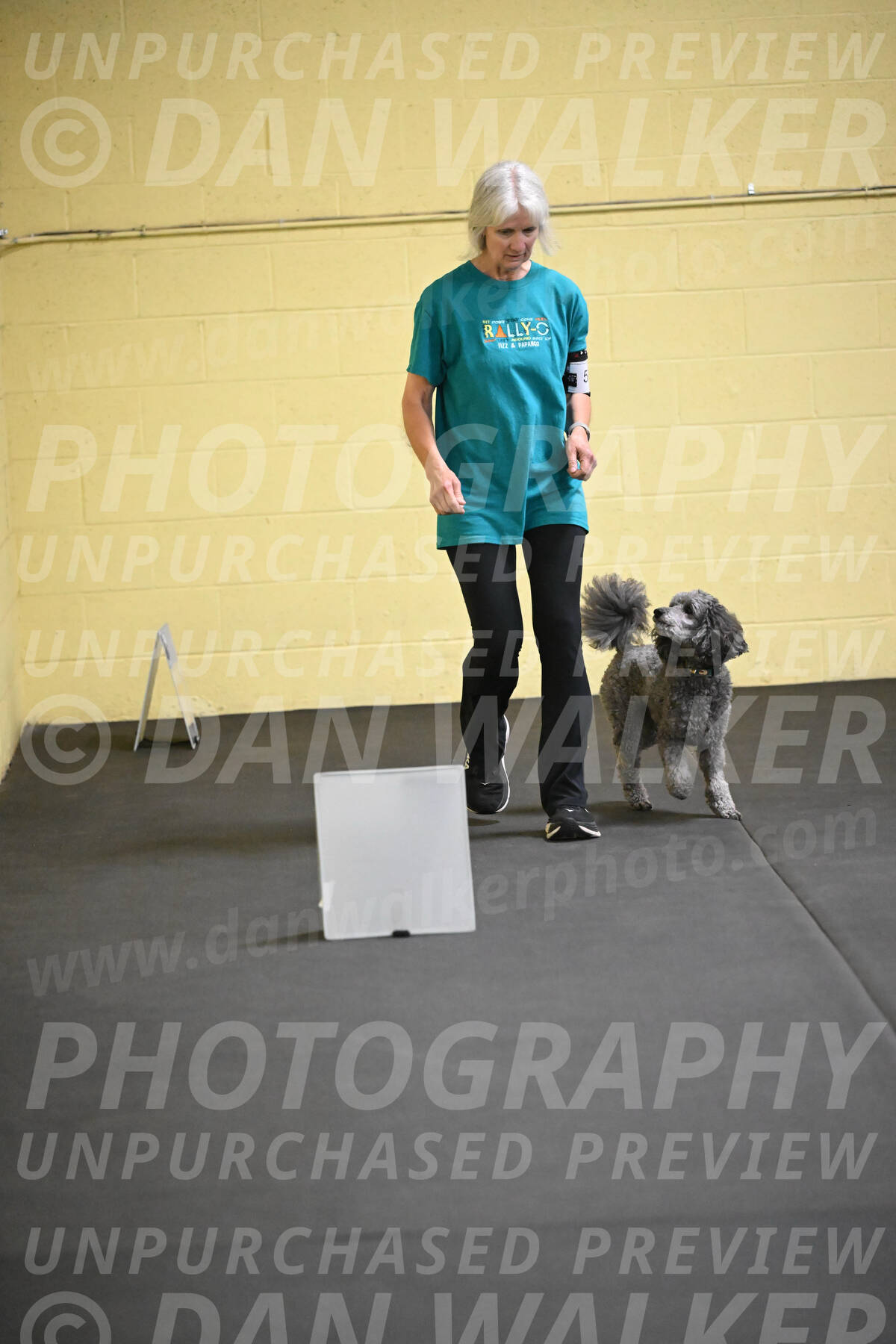 SAT502_0031A
