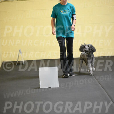 SAT502_0033