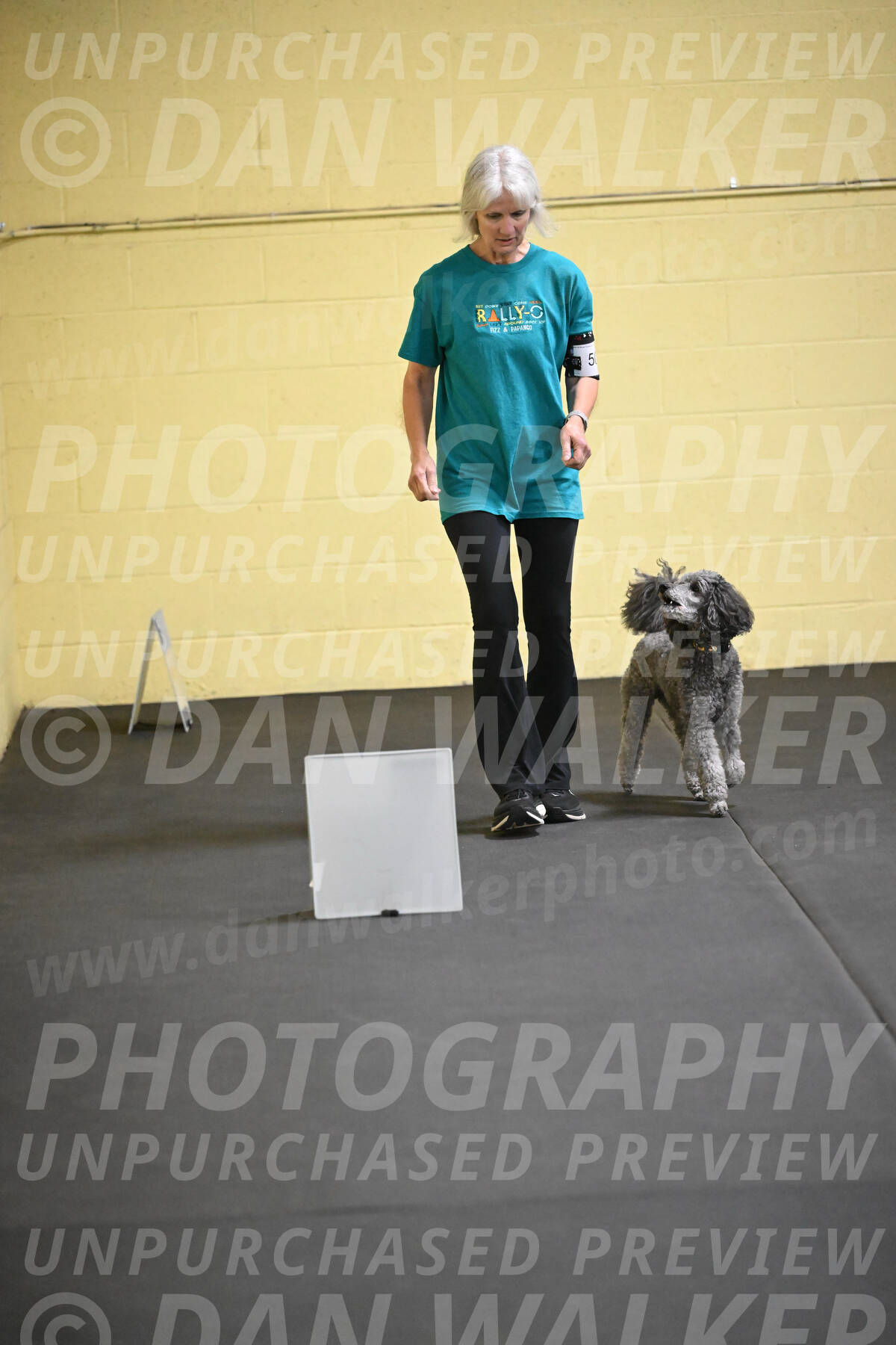 SAT502_0033A