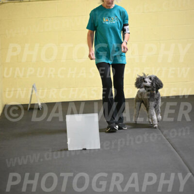 SAT502_0033A