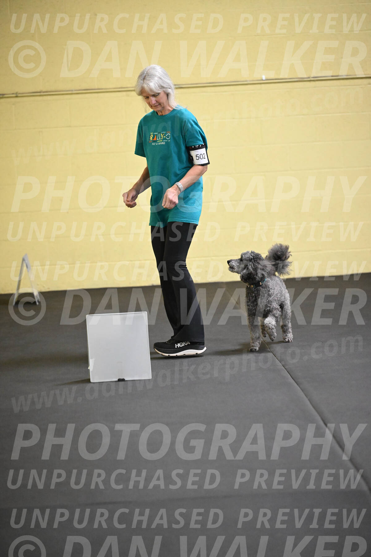 SAT502_0037A