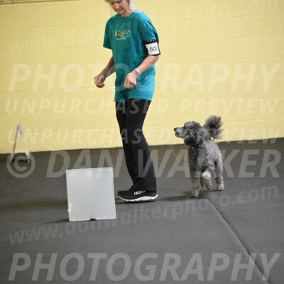 SAT502_0037A