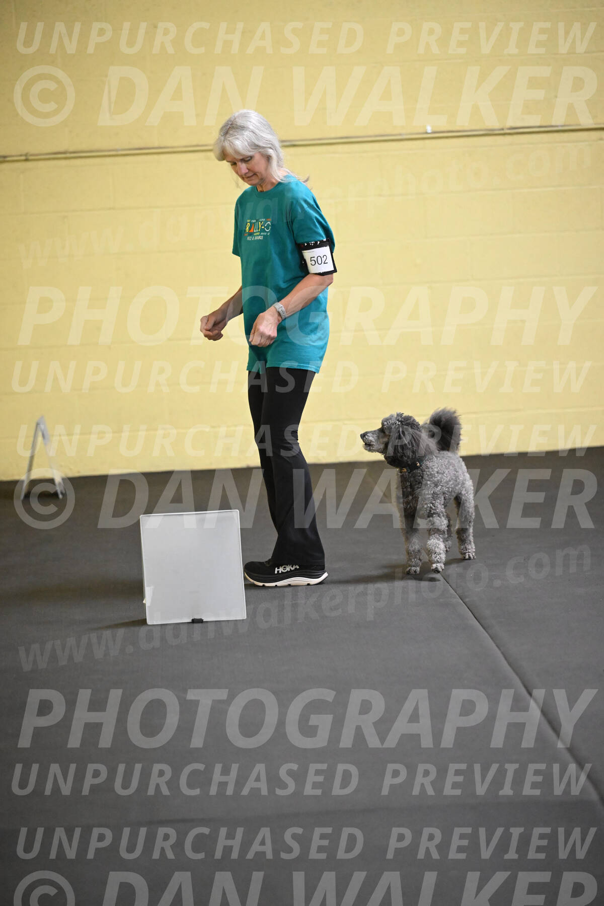 SAT502_0038