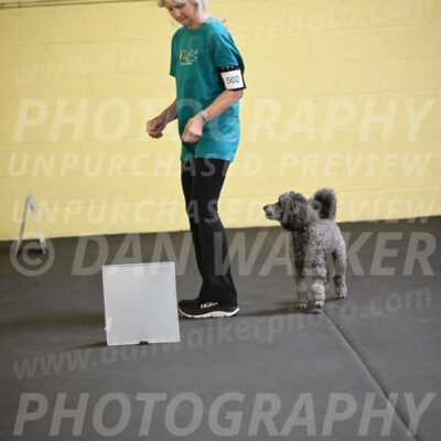 SAT502_0038