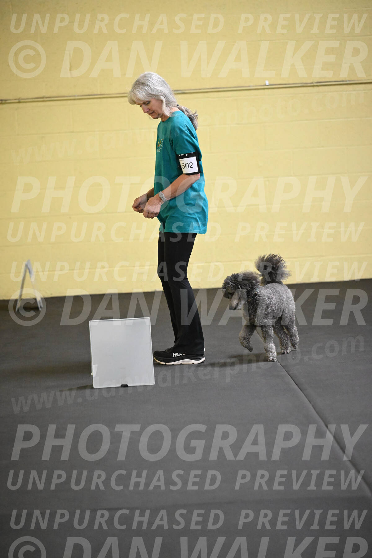 SAT502_0039A