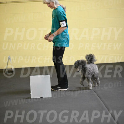 SAT502_0039A