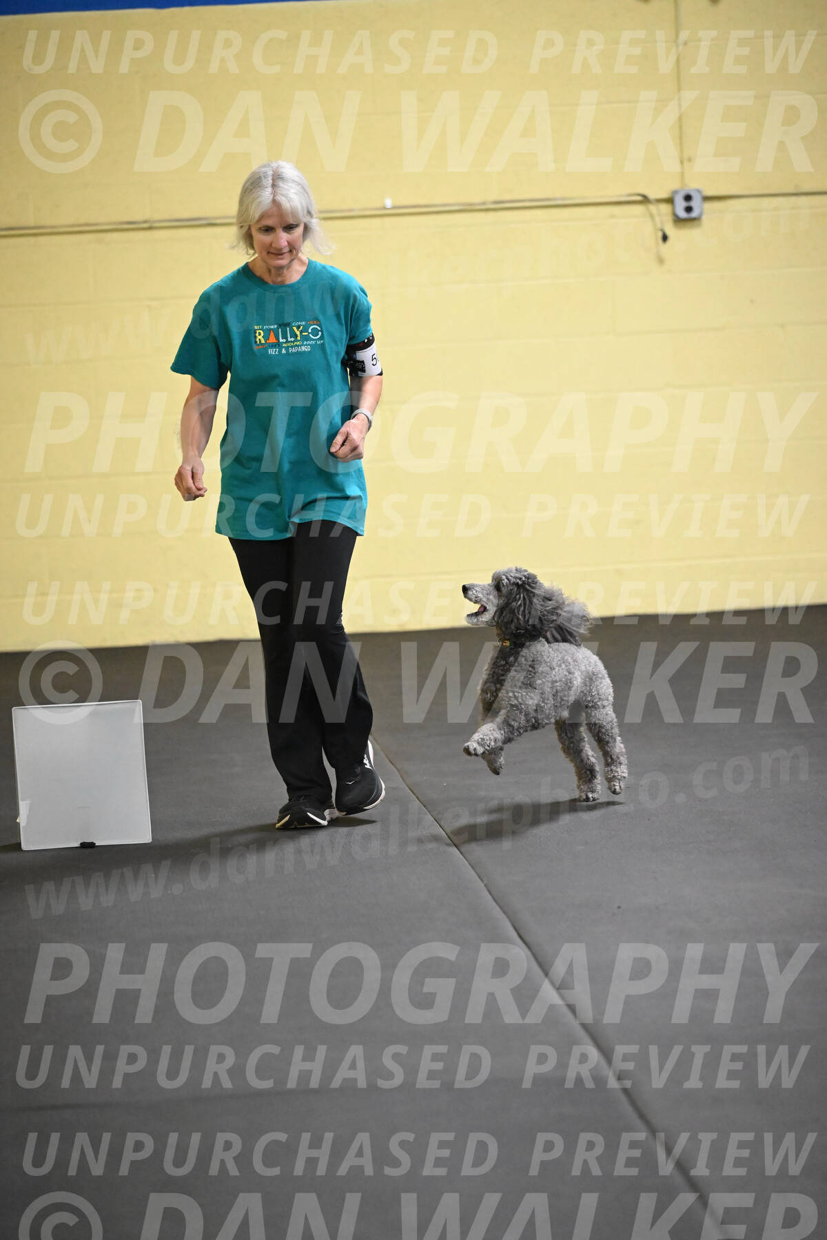 SAT502_0041A