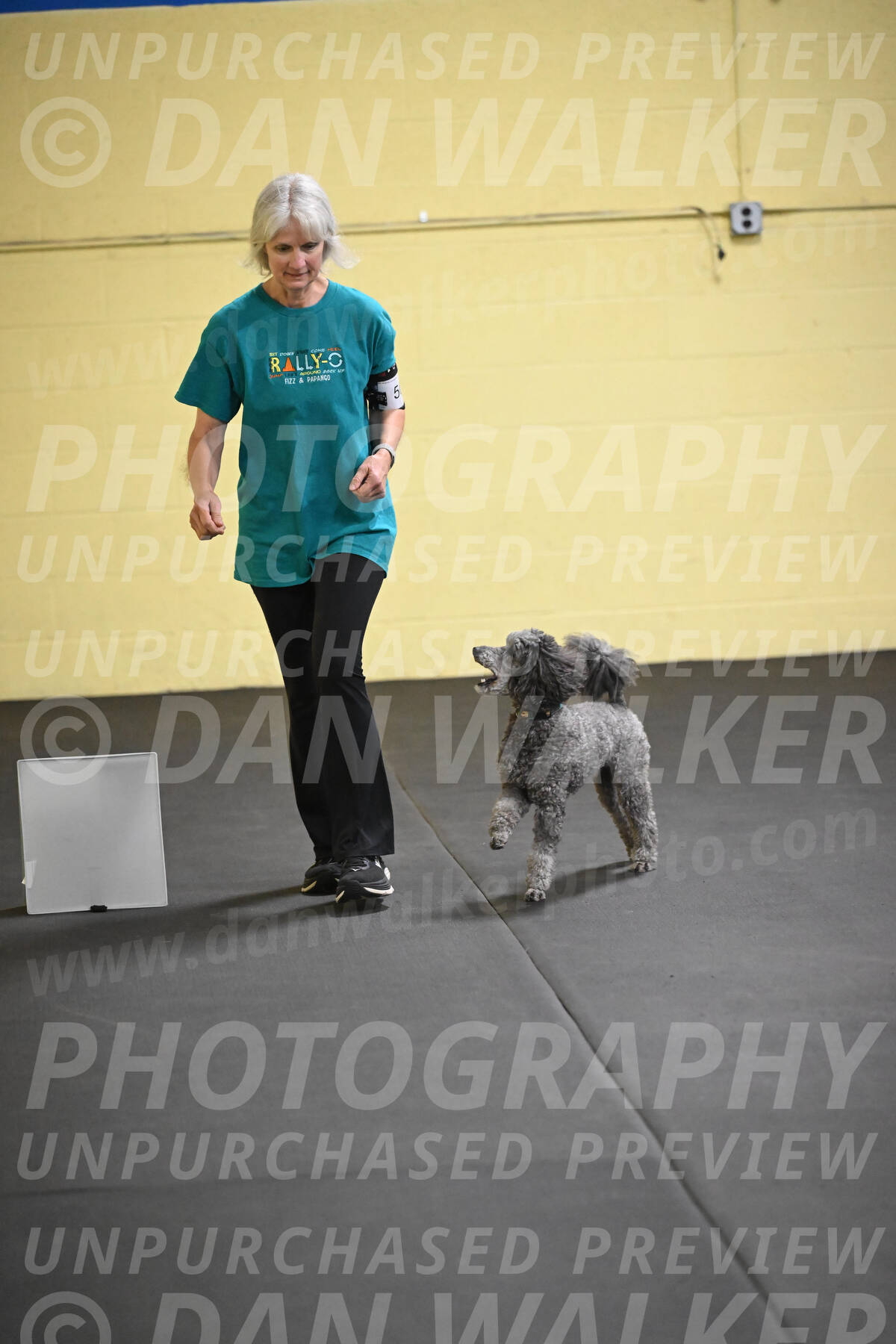 SAT502_0042