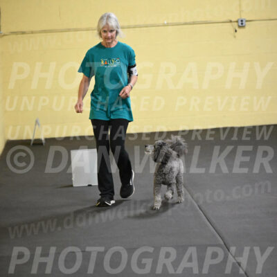 SAT502_0051A