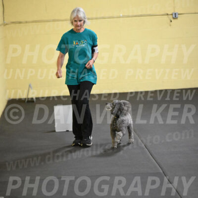 SAT502_0052