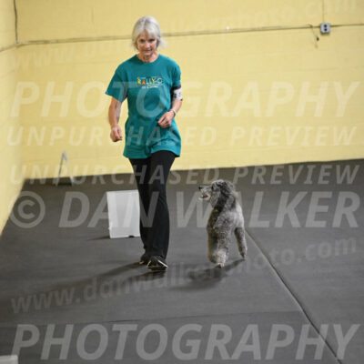 SAT502_0053