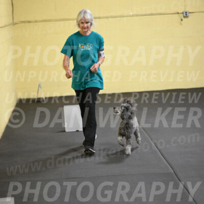 SAT502_0054