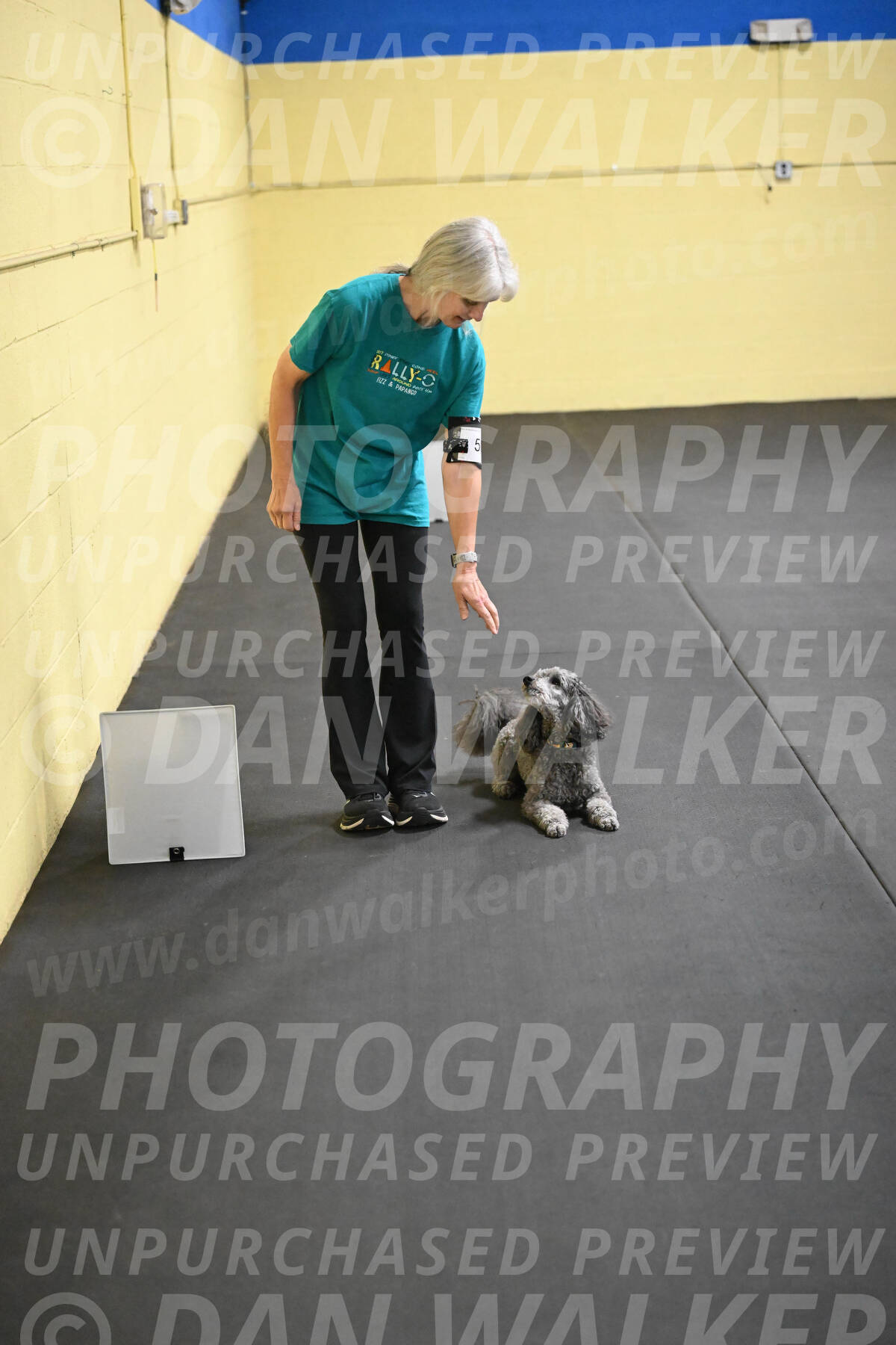 SAT502_0079A