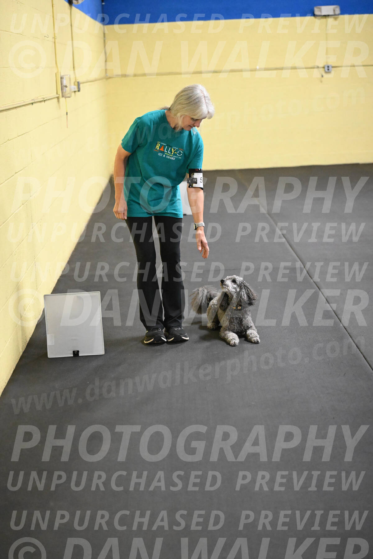 SAT502_0080A