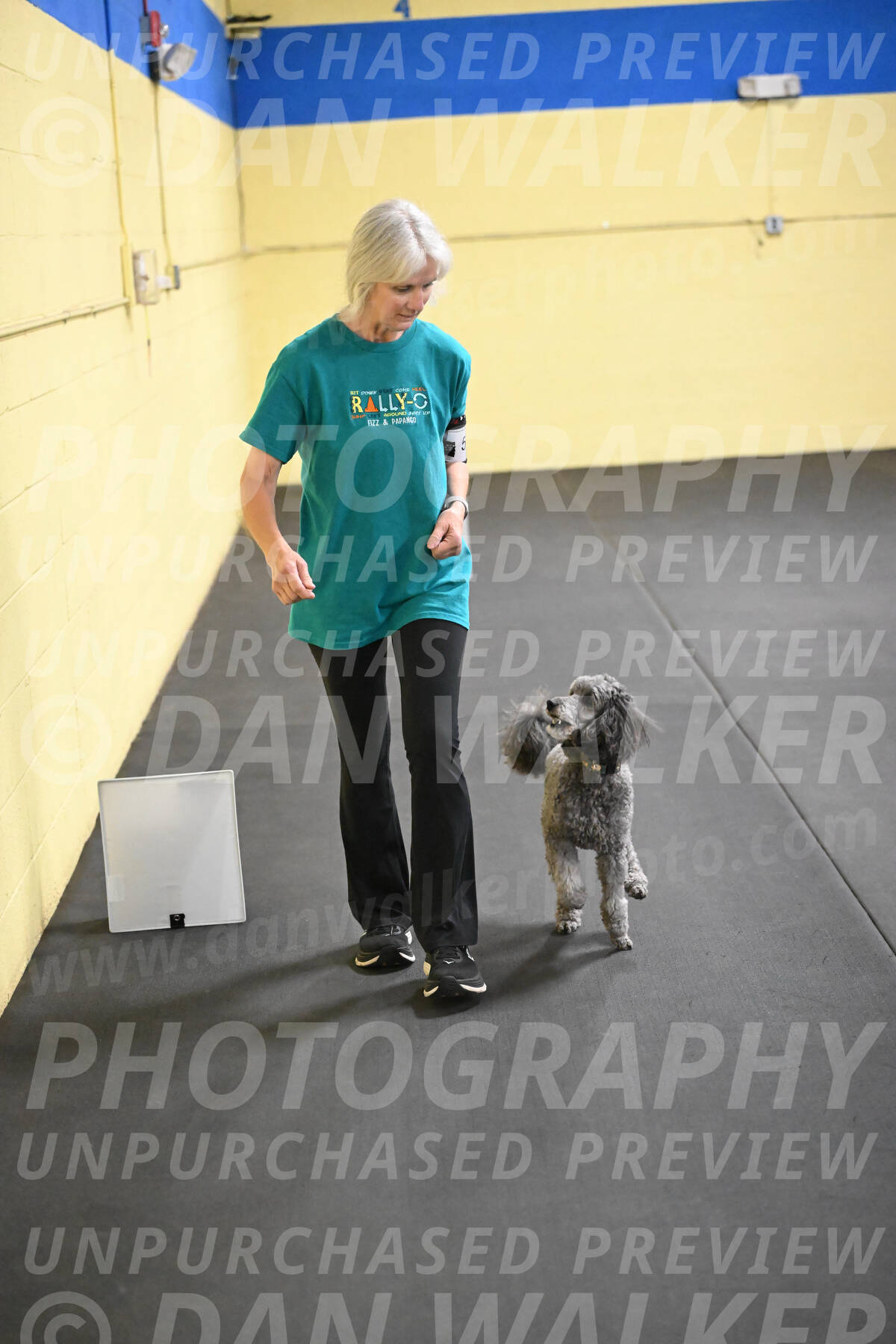 SAT502_0081A